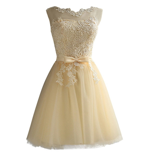 Women Lace Dress Embroidered Mesh Tulle Slim Elegant Lady Princess Bridesmaid Wedding A-Line Party Dresses female Plus Size 3XL
